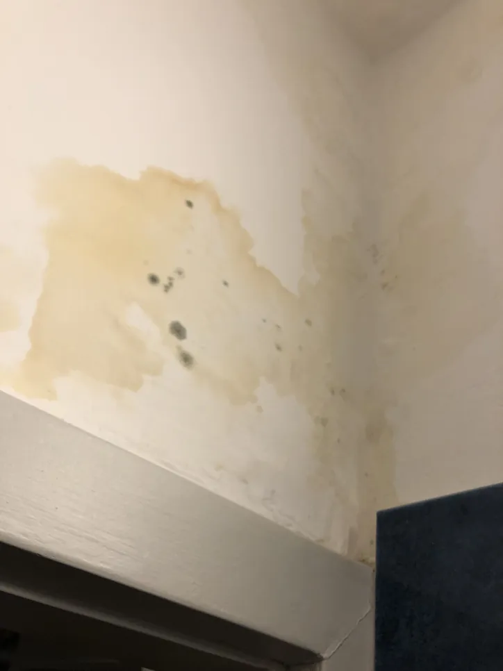 Mold infestation visible on a ceiling corner, indicating moisture damage and possible water intrusion.